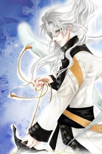 剑与少女的命运之夜
