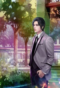 隐婚盛宠：总裁大人深深爱